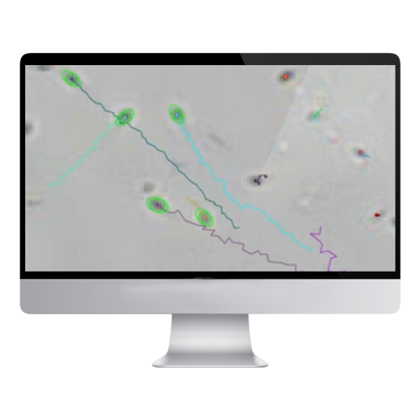Анализатор спермы Mecos Meco-Sperm