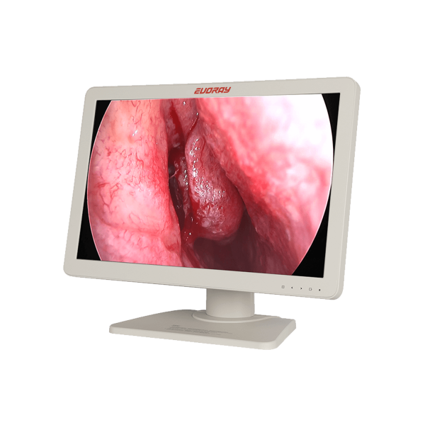 Монитор LCD FULL HD эндоскопический-хирургический EVORAY S2421P