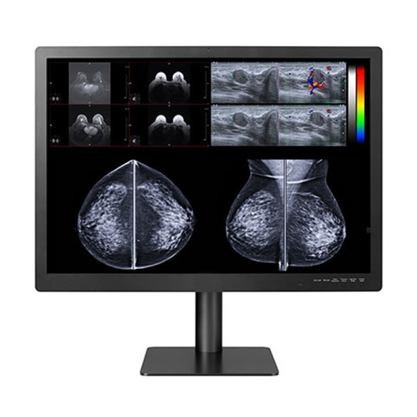 Медицинский монитор Double Black Imaging Gemini Series 12 MP Large Format Display