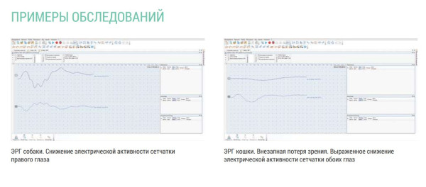 Компьютерный электроретинограф для ветеринарии Нейрософт НЕЙРОЭРГ/В