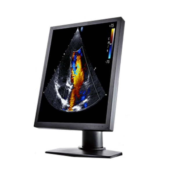 Медицинский монитор Double Black Imaging 2MP Color Clinical LCD