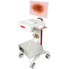 Дерматоскоп FotoFinder Dermoscope Vexia