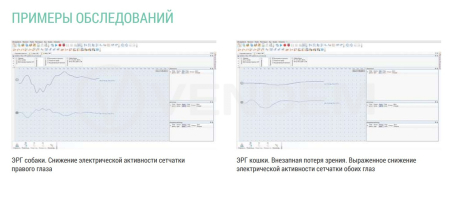 Компьютерный электроретинограф для ветеринарии Нейрософт НЕЙРОЭРГ/В